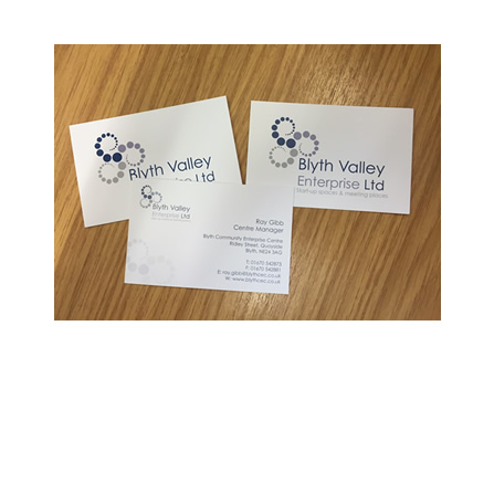 Blyth Valley Enterprise Ltd Business Cards
