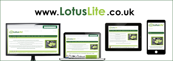Lotuslite web design